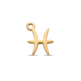 Small Pisces Shape ZB022