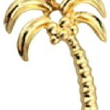 Palm Tree CW009
