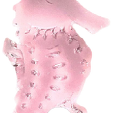 Seahorse #2