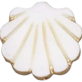 Shell #6