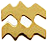 Small Aquarius Shape ZB013
