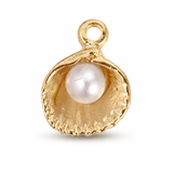 Clam Shell With Small Pearl CW018