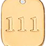 Number 111 S007