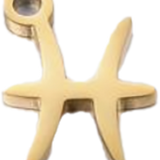 Small Pisces Shape ZB022