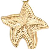 Starfish CW015
