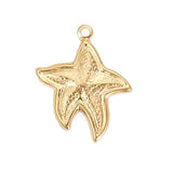 Starfish CW015