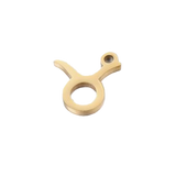 Small Taurus Shape ZB024